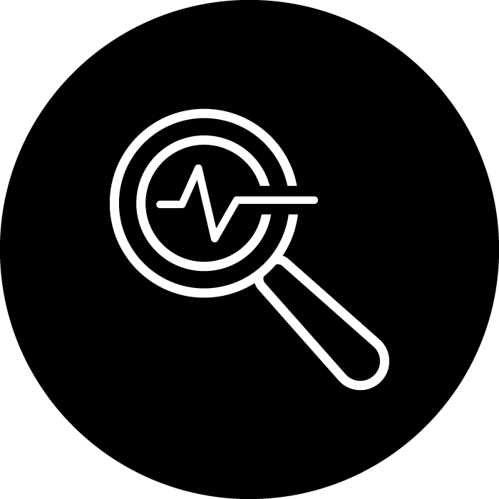 A1